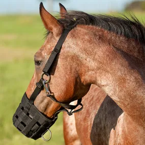 Cashel Grazing Muzzle- Mini