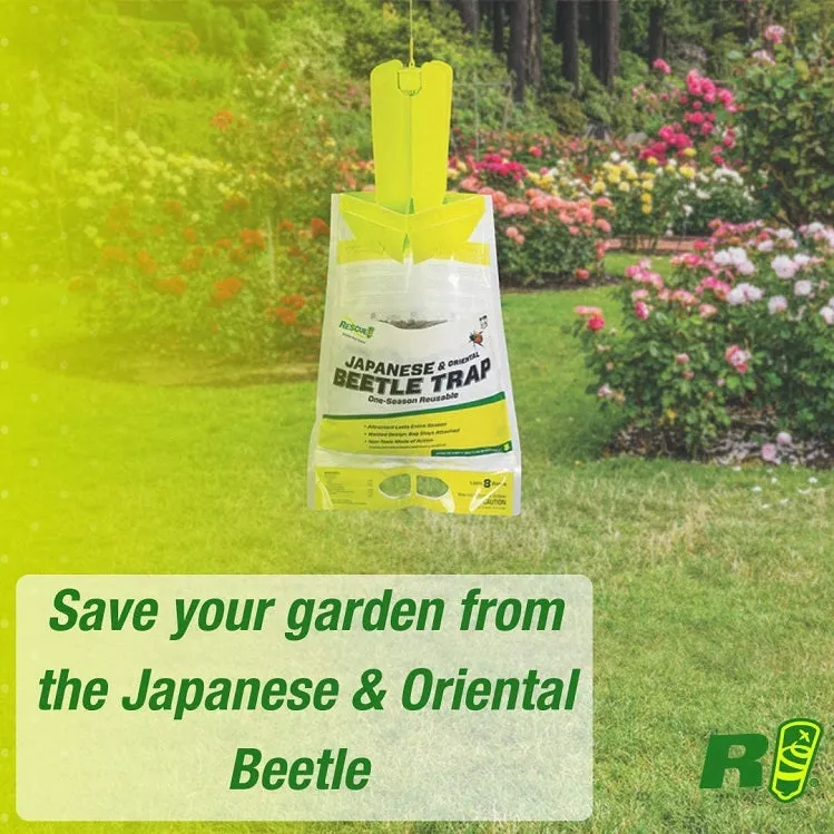 RESCUE! Japanese & Oriental Beetle Trap